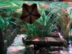 -沈阳海洋探索中心