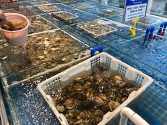 -春华海鲜城(广场西苑店)