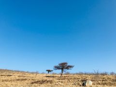 -阳台山自然风景区