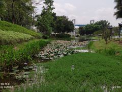 -东莞植物园