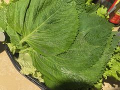-玲姐吉祥齐市烤肉
