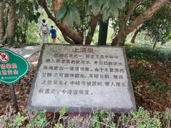 -上海佘山国家森林公园天马山园