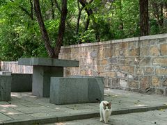 -四门塔风景区