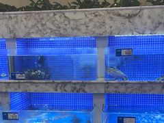 -香山湖渔家大院