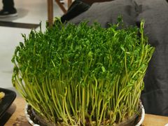 -好彩猪肚鸡(正弘城店)