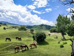 -新疆那拉提国家旅游度假区