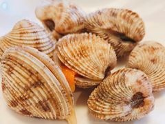 一点红贝壳-吉友粥底火锅(方斜路店)