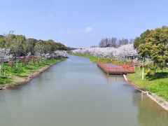 -上海海湾国家森林公园