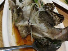 清蒸石斑鱼-南海渔家•海鲜•正宗海南菜(海棠湾店)