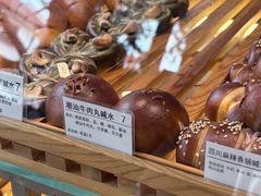 -WHEN PIGS FLY当猪飞