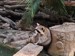 -长鹿旅游休博园