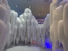 -宁波冰雪大世界(北仑区)