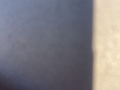 -徐记海鲜(梅溪新天地店)