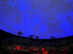 -郑州方特梦幻王国