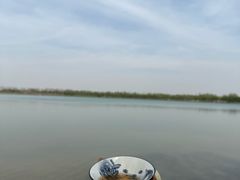 -象湖生态湿地公园