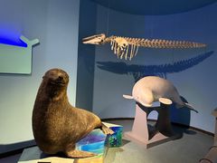 -泉城欧乐堡海洋极地世界