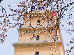 -大慈恩寺(大雁塔)