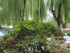 -鹊华居·地道鲁菜·海鲜·融合味(大明湖店)