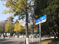 -八大关景区