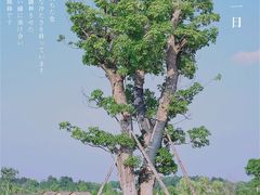-道林古镇