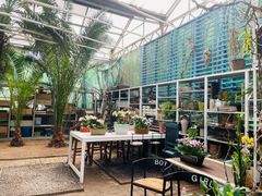 -石家庄市植物园