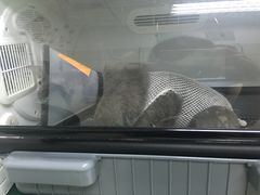 -康乐宝动物医院