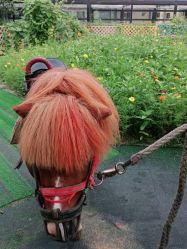 -萌宠亲子动物乐园(槐房万达店)