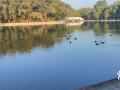-北陵公园