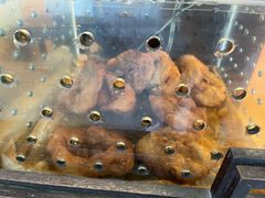 德昌咸煎饼-伍湛记 · 广州老字号(龙津中路店)