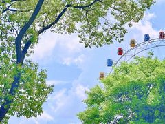 -上海野生动物园