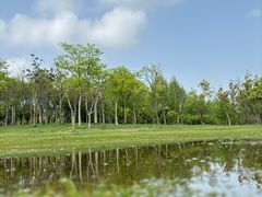 -象湖生态湿地公园