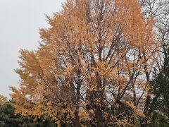 -玲珑塔公园
