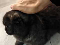 -风云再起游乐汇(南京常发广场店)