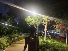 -徽园