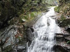 -藏龙百瀑风景区