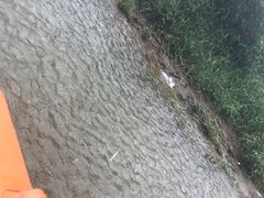 -天目湖松岭竹海漂流