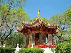 -高尔山公园