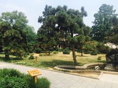 -洛阳古墓博物馆