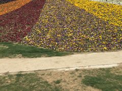 -南通洲际绿博园