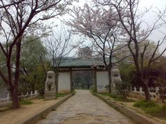 -甘棠公园