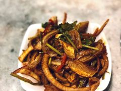 红油肚丝-蝎菜杨·牛肉面 羊蝎子火锅(光熙门北里店)