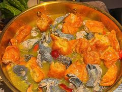 -Darling Queen·Mini·Live·House