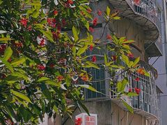-喜柿咖啡SeeS coffee