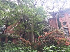 -中山大学学者灵芝(园南路店)