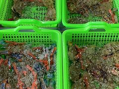 -众味海鲜大排档·活海鲜·潮汕味(南澳店)