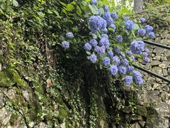 -莫干山风景区