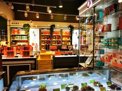 -北京同仁堂健康(金融街购物中心OLE精品超市店)