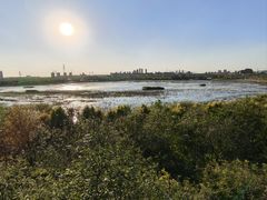 -天津东丽湖风景区