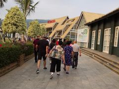 -亚龙湾国际玫瑰谷