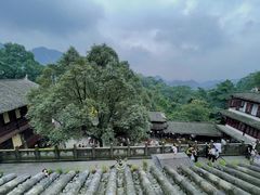 -青城山